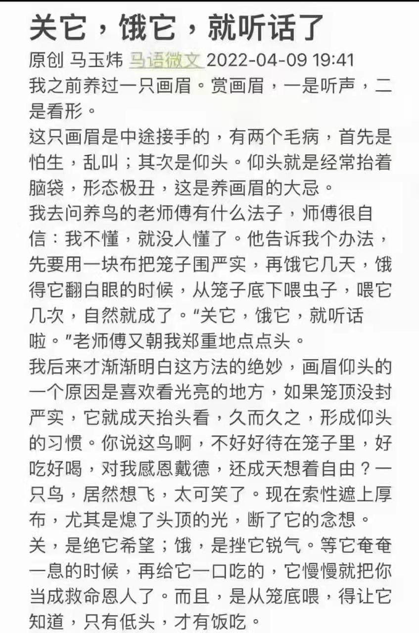 4月11号：尊敬的战友们好……现在的中国人连这只鸟都不如……
