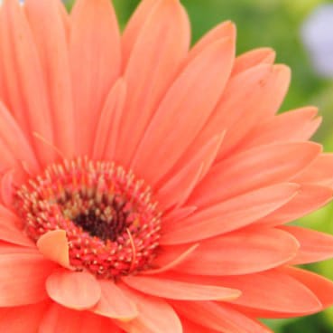 Born and raised in North Idaho.