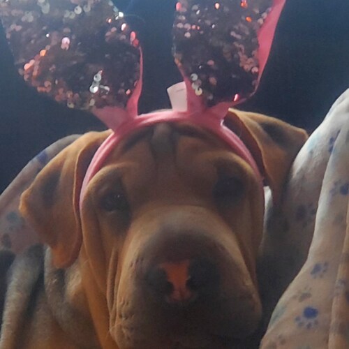 Visit dancingwater's profile on GETTR. View their posts, photos, videos, and connect with them on the social platform.