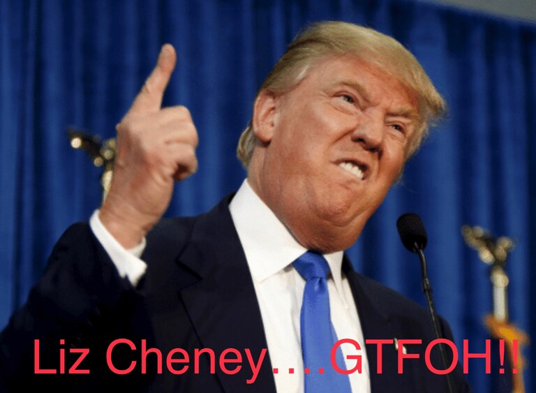 You’re FIRED!!