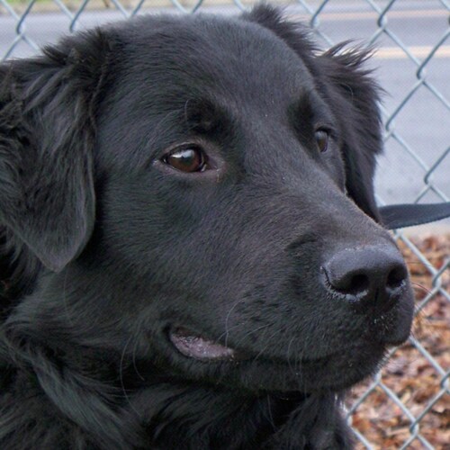 Christian, Veteran, Conservative, deal with it! WWG1WGA.