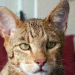 ultraMAGA
Less Taxes, Less Government, MORE Individual Responsibility. #FighBack