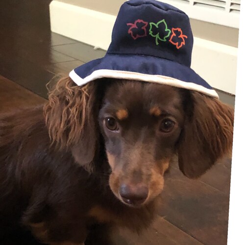 Jesus loving, America loving, Gun toting, MAGA patriot