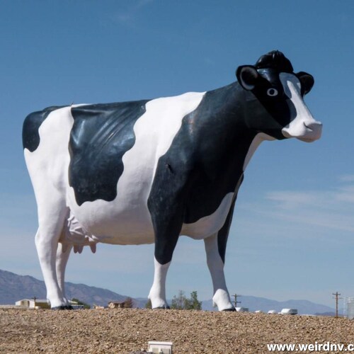 Retired and tired (of morons)