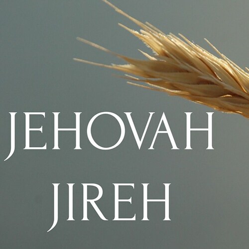 In the beginning God created the heavens and the earth.