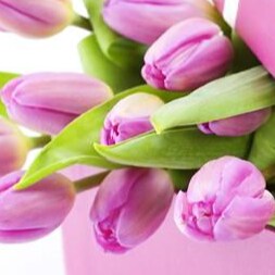 Visit svobodamiru's profile on GETTR. View their posts, photos, videos, and connect with them on the social platform.