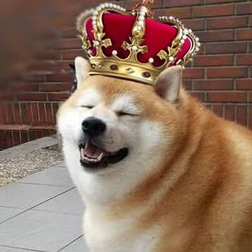 Pro-Liberty. Anti-State. Communists aren’t people.