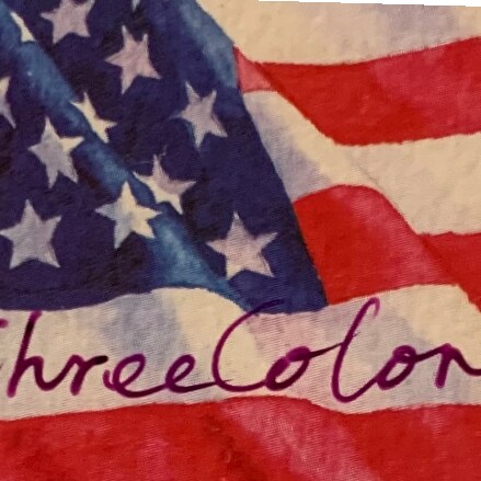 🇺🇸Trump Supporter🗽A Chinese American🦅 🇺🇸 #Independent voter☕️📖⛺️🏊‍♀️