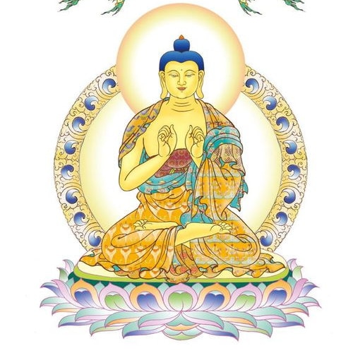 地球是弥勒佛的本愿净土，弥勒佛诞生地球即现成佛国，时人寿八万四千岁。弥勒佛的教法：唯心所现（觉与明），唯识所变（世与界）。佛是常住，无有变异。佛住大般涅槃，随顺众生、世间、世法，种种示现，利益众生。{ K之心 、直心交易、方向交易者、结构交...