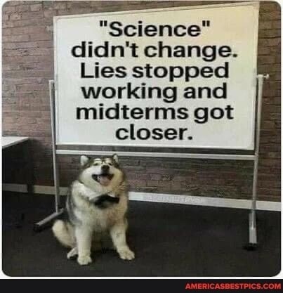 View ☦️🦁⚔ 🆃🆁🅴🅱 ⚔🩸's post on GETTR. Join the discussion, share your thoughts, and connect with the community.