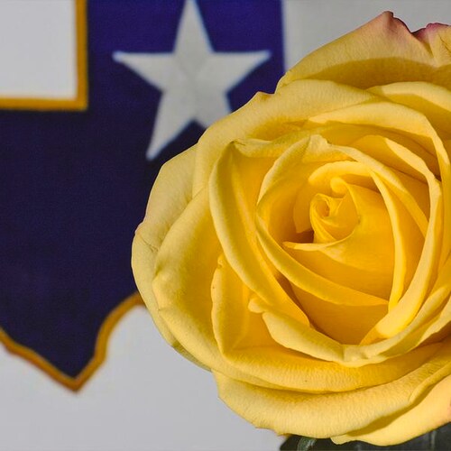 Christian.  American.  Conservative.  Republican.  Texan by birth and by choice.  Proud Adorable Deplorable.