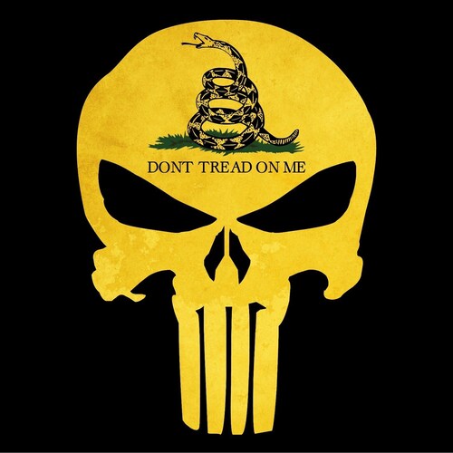 Constitutional Conservative. Christian. Veteran. Pro2A. Pro Law Enforcement. ✝️ 🇺🇸