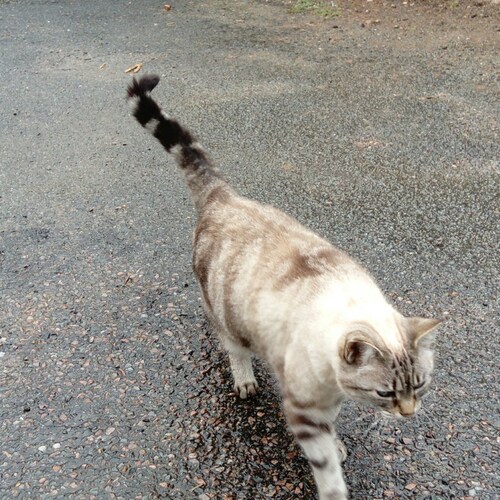 j attends le soleil        et le départ de Macron