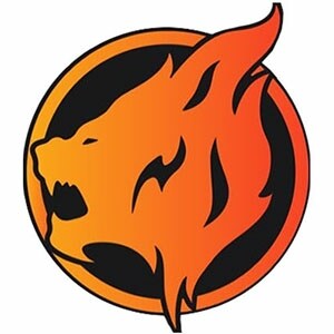 Im a huge broncos fan