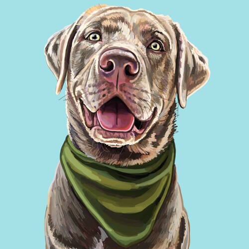 Conservative Christian MAGA. KAG. Constitution, Freedom of Speech and don’t let them take your guns.