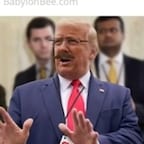 ULTRA-MAGA Nor Voom