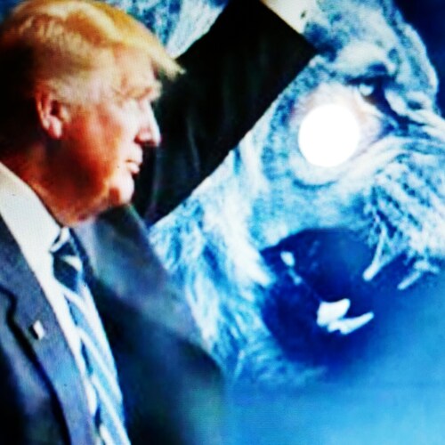 TRUMP WON