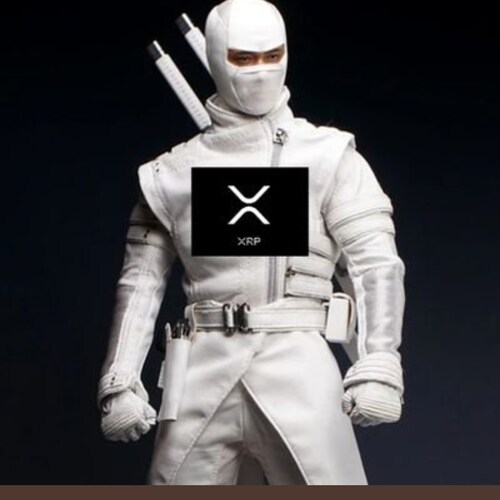 By day I'm a Compliance Officer for a 100 yr old 25 million dollar trucking company, by night a Mixed Martial Arts Instr...