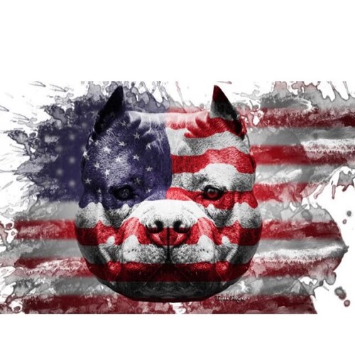 Faith, Family, Freedom and Bullies