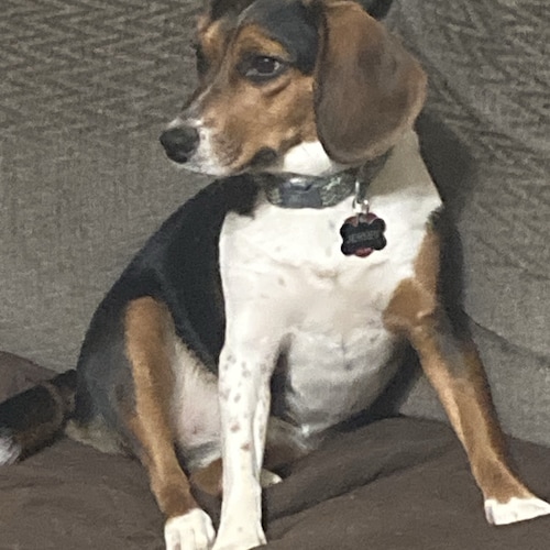 Conservative Christian farm wife, mom and G-ma