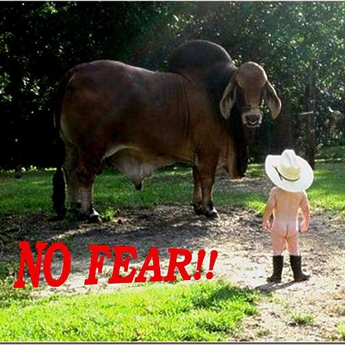 Veteran; can’t imagine any reason to ever vote democrat.  I have a kind and gentle manner…until I have a good reason not...