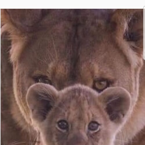 Work hard, live free.