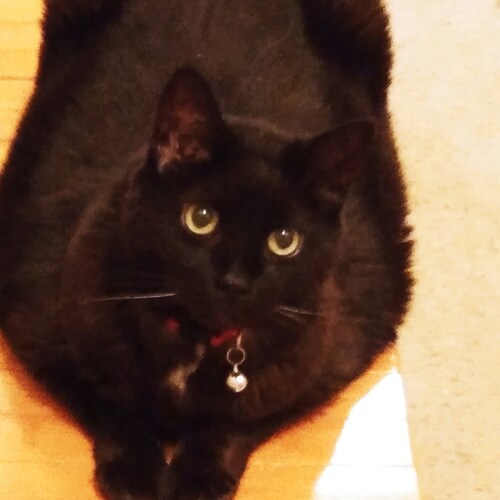 Itismetammyb on IG...Tammyb on Telegram and Safechat...Tambid1 on GAB and Parler