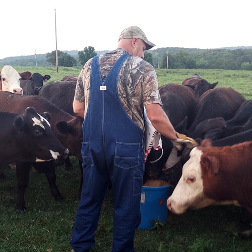 Father and proud American farmer