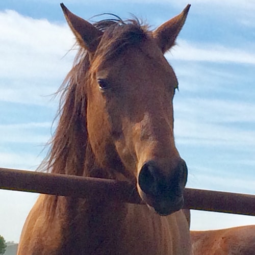 Visit bananamontana's profile on GETTR. View their posts, photos, videos, and connect with them on the social platform.