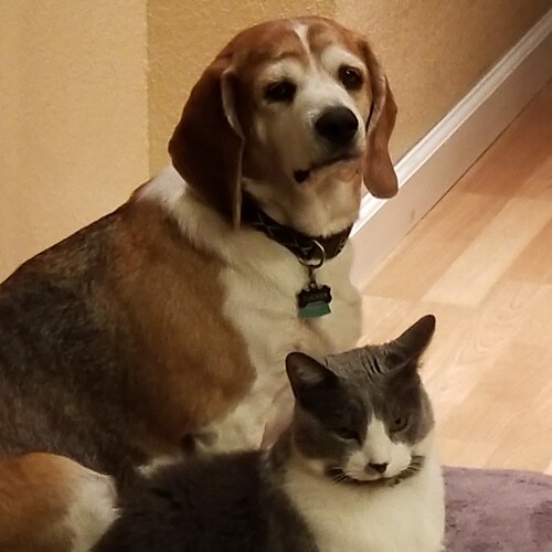 Visit Pickett19's profile on GETTR. View their posts, photos, videos, and connect with them on the social platform.