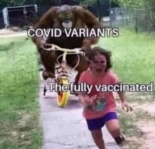 😂, it's not false. 