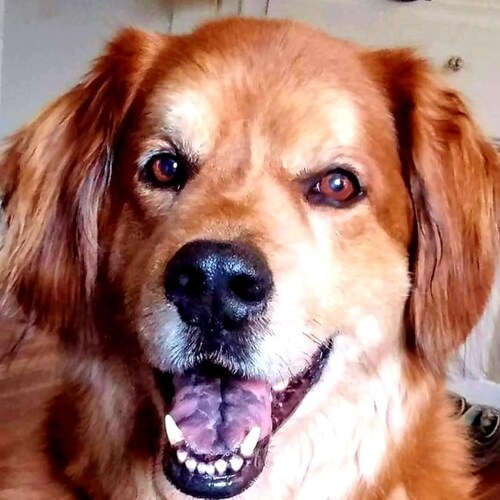 2A  Conservative, Patriot, Dog Lover. 
Welder / Fabricator  since 1974.
Ex motorcycle racer, TRUMP WON.. Pro Law enforce...