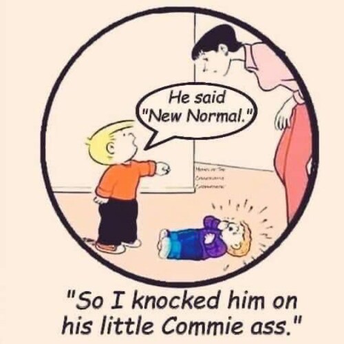 Catholic Husband, father, Gulf War Vet, OIF2 Vet, never been a cool kid, we need to stop electing the popular kids. 19D ...