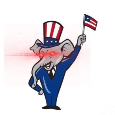 I stand PROUDLY for social and fiscal conservative values that make our country great! Let’s defeat the Democrats!