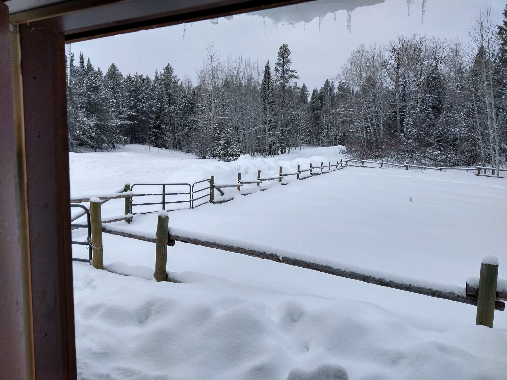 View Oceankid05's post on GETTR. Join the discussion, share your thoughts, and connect with the community.