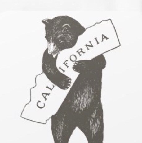 If the American flag offends you.. do not follow this account