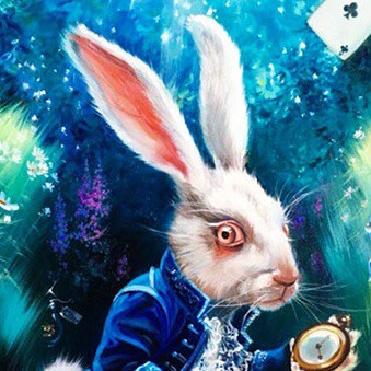 Fortune Favors the Bold