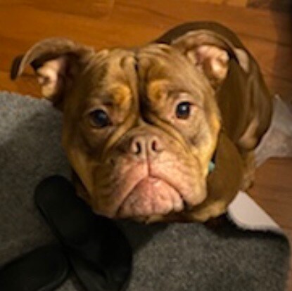 Autism warrior! Mom of 4…2 with autism. Love my country and support the military
 and police! IFBAP!