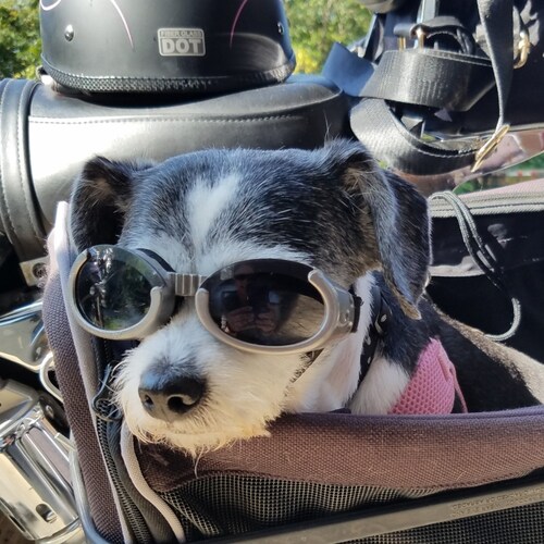 I am a southern girl (TN) who loves her country. I have several family members who served and eternally grateful to our ...