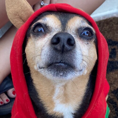 Yes the enemy is within!