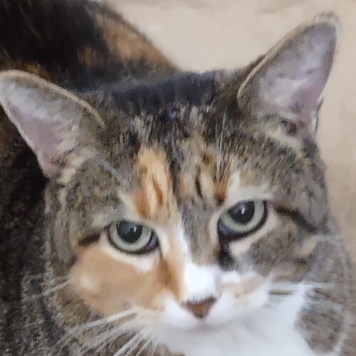 Former Democrat.  I didn't walk away.  I ran!  Once your eyes are open it's impossible to go back.