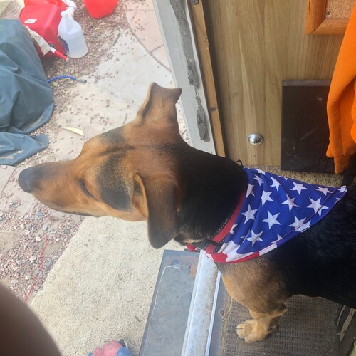 America and freedom loving patriot