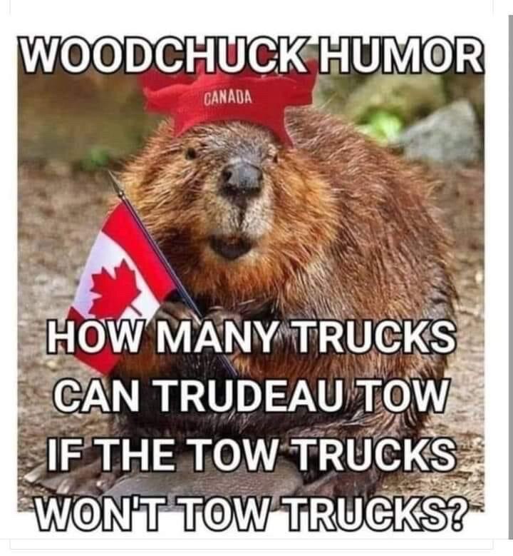 View Donna Martin Patterson's post on GETTR. Join the discussion, share your thoughts, and connect with the community.