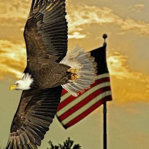 Christian, Retired, Grandpa 8 times,