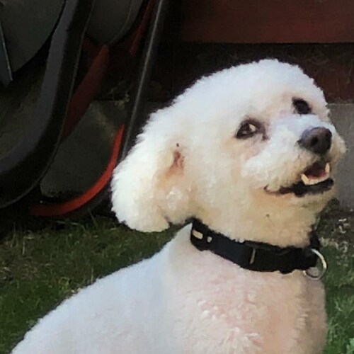 friend from over the pond