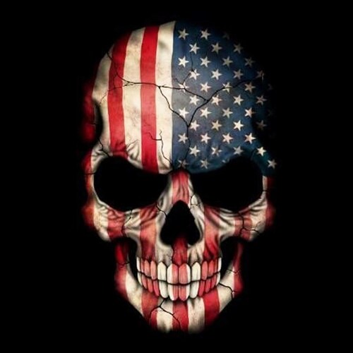 Fuck your pronouns.  
Consitutional conservative. 
Christian, Pro-Life, Pro-Gun. 
Honor our Police, Fire, and Military.
...