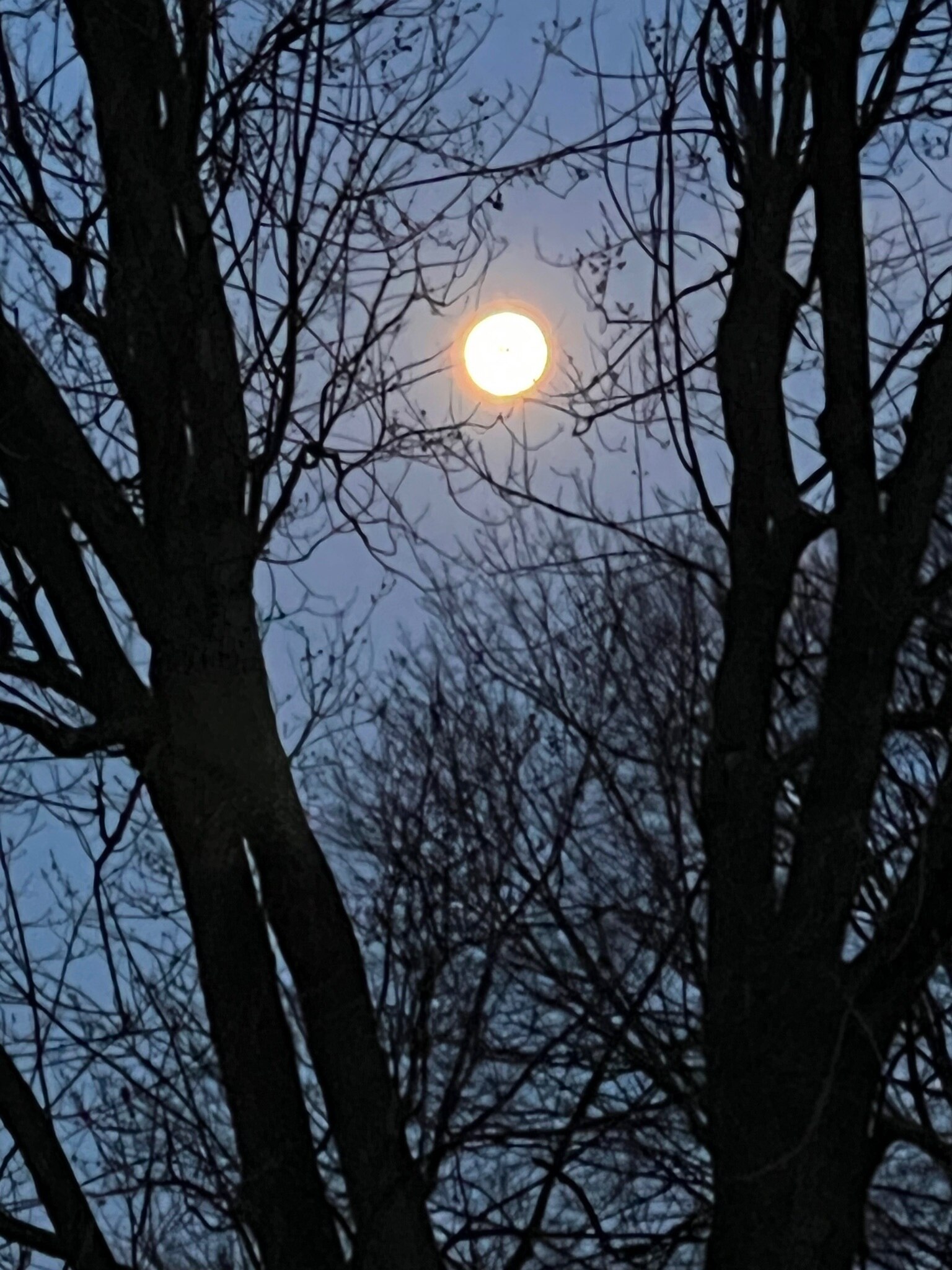 A Moon full of opportunity awaits!