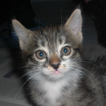 THERE IS NO EXTRACTION IS THERE?