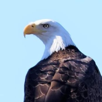 Retweeted by Trump & Don Jr.
Blocked by AOC.