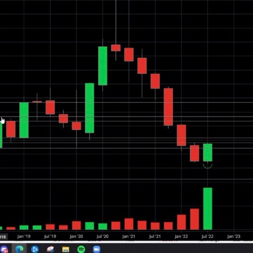 Medical Professional and Investor